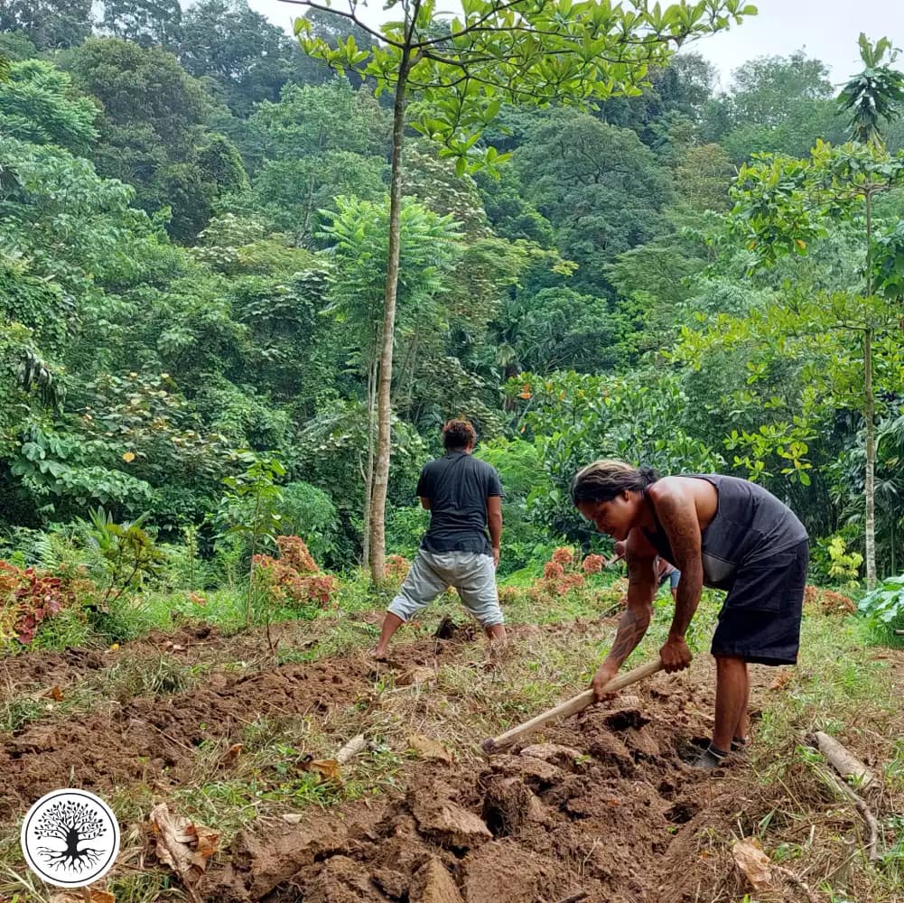 Support for Polyculture and Agroforestry